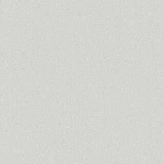 Product Image for Werzalit Fensterbank Exclusiv Hellgrau - Perlstruktur, Tiefe: 200 mm x Länge: 600 mm ohne Seitenabschluss