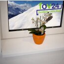 Kunststoff Fensterbank Weiß PVC inkl. Endkappen, Tiefe:  500 mm x Länge:  1700 mm