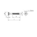 Spanplattenschraube Dresselhaus JD-79 mit Torx Antrieb gelb verzinkt 3,0 x 20 mm 200 Stück